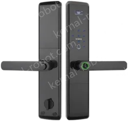 Smart door lock A81