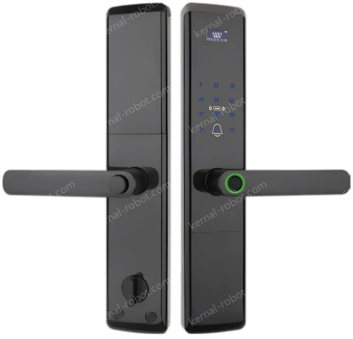 Smart door lock A81