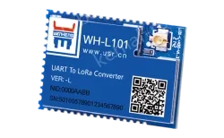 LoRa module