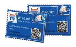 LoRa module